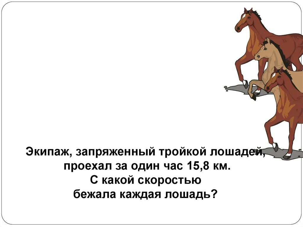 Скорость лошади в километрах в час. Скорость коня. Средняя скорость коня. Максимальная скорость коня. Скорость коня км/ч.