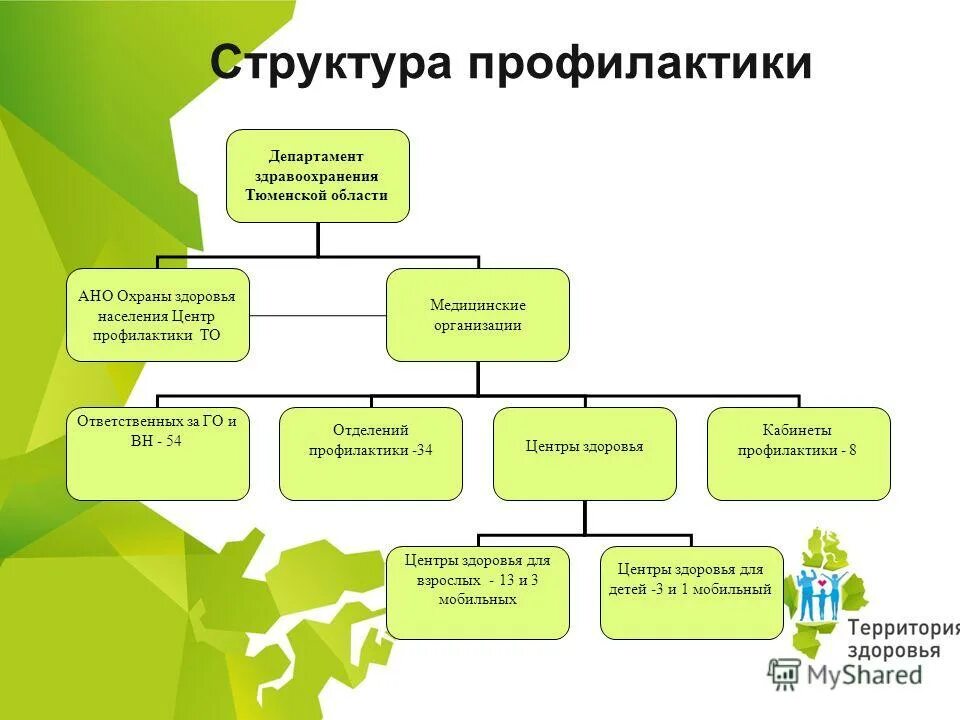 Функции центра медицинской профилактики. Структура центра медицинской профилактики. структура центра профилактики схема. структура службы медицинской профилактики в рф. структурная схема отделения медицинской профилактики.