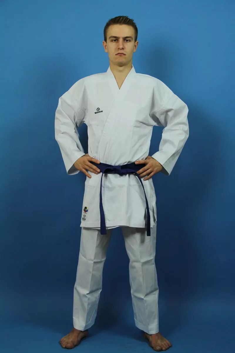 Книга динамика каратэ накаяма. Масатоши накаяма книги. Динамика каратэ масатоши накаяма. Лучшее каратэ накаяма 9 том. Карате бест.