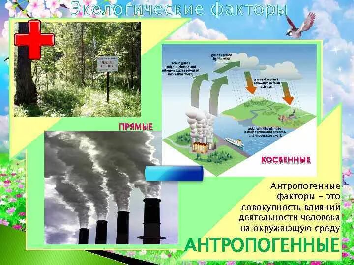 Влияние антропогенных факторов. Косвенное антропогенное воздействие на окружающую среду. Антропогенные факторы среды. Прямые антропогенные факторы.