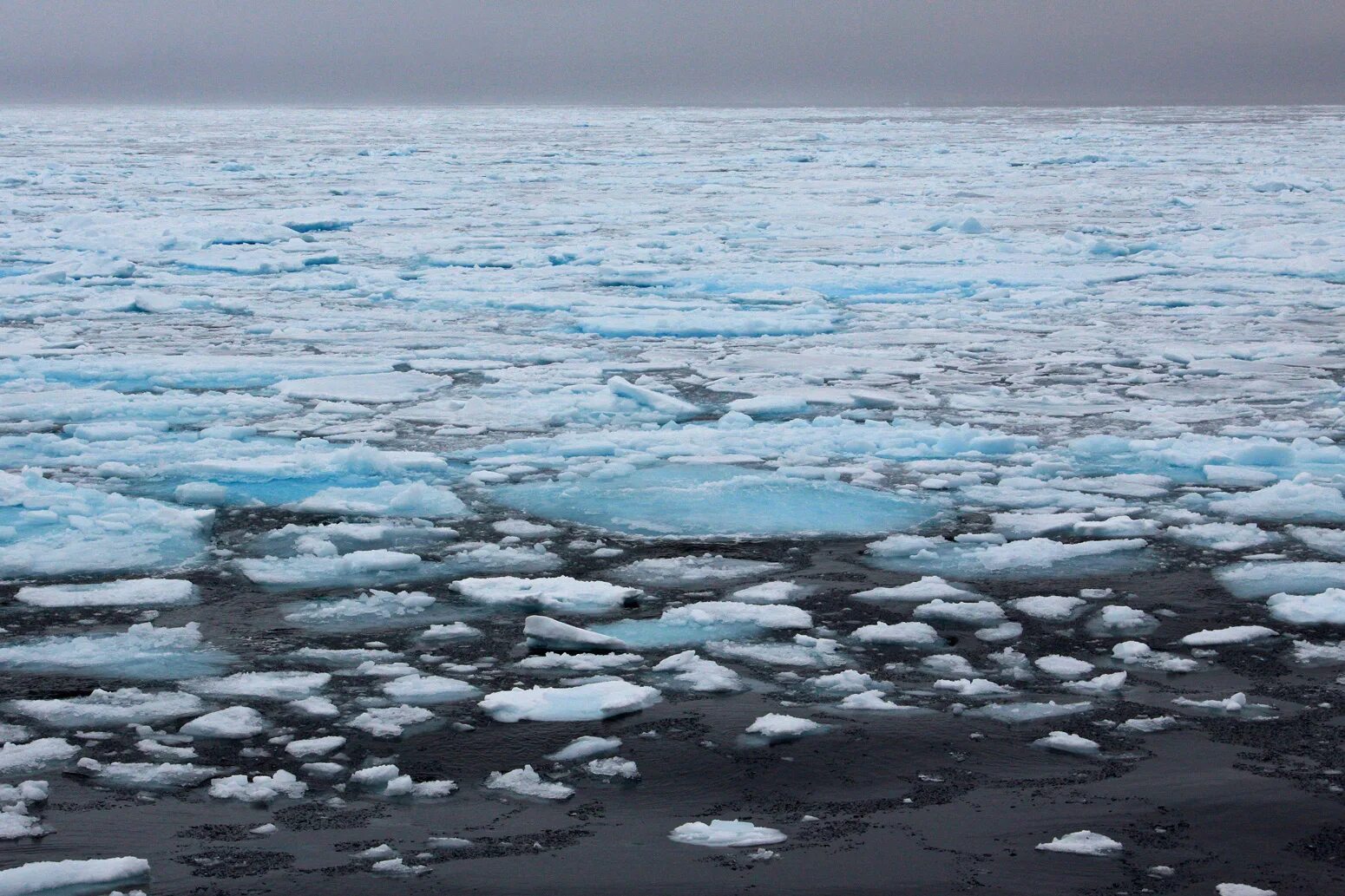 Arctic Sea Ice. Полярное море. Лед на море. Арктическое море весной.