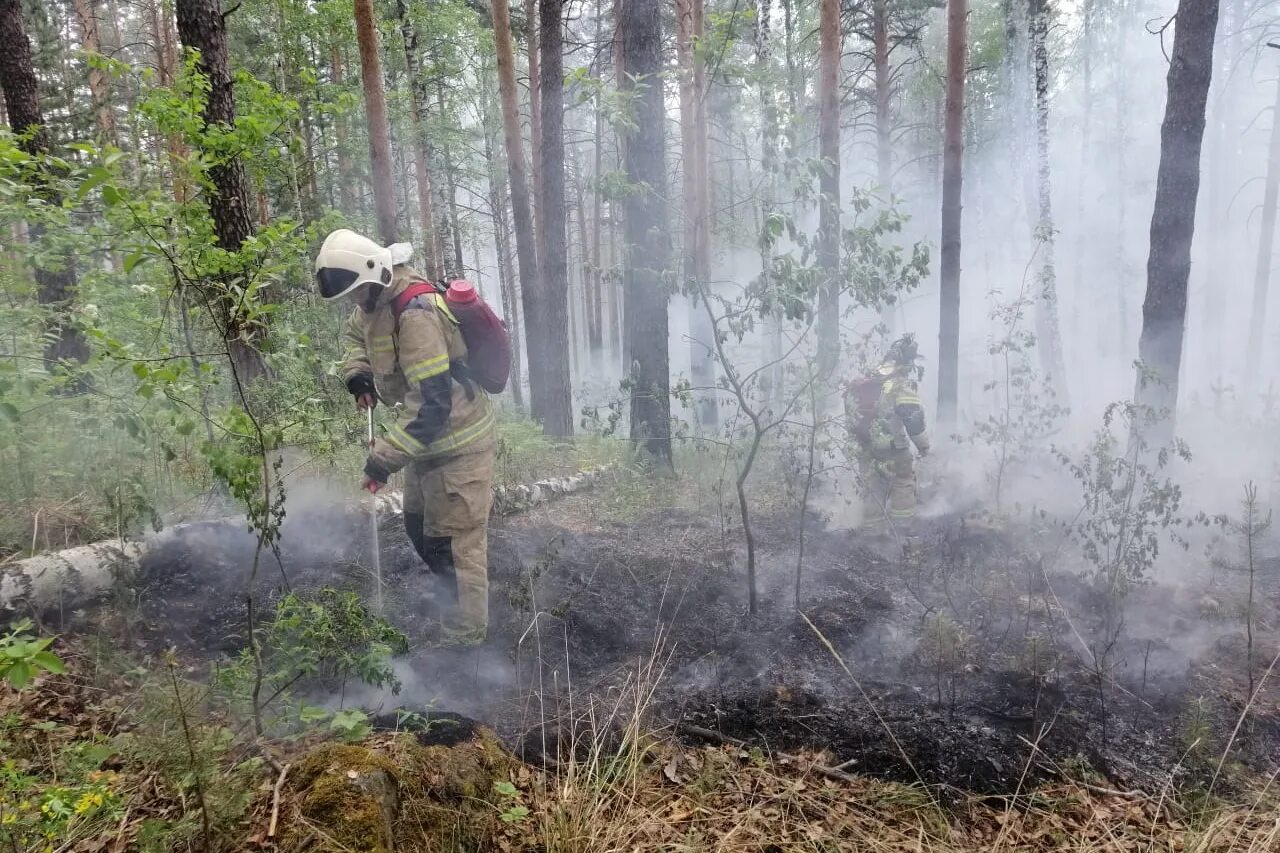 В следствии лесных пожаров