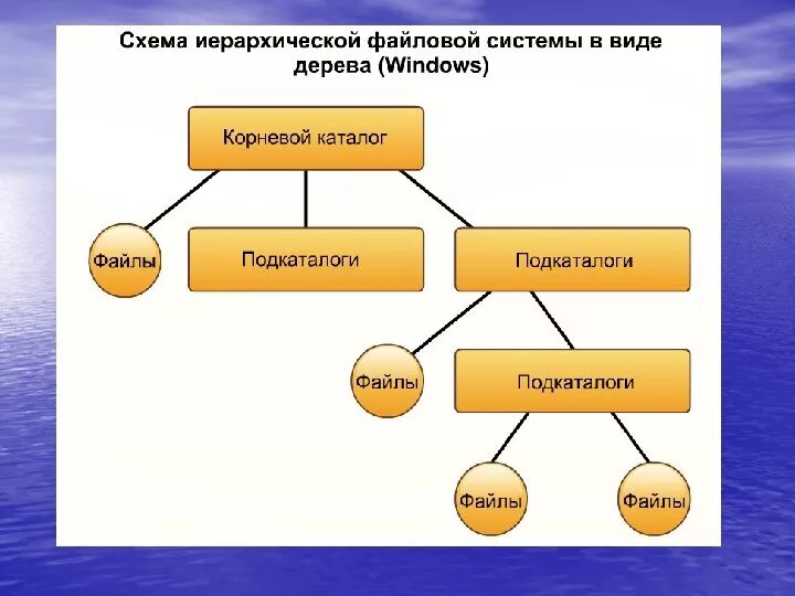 Виды иерархии. Иерархическая файловая структура схема. Схема Фауловой система. Файловая система в виде дерева. Дерево иерархической файловой структуры.