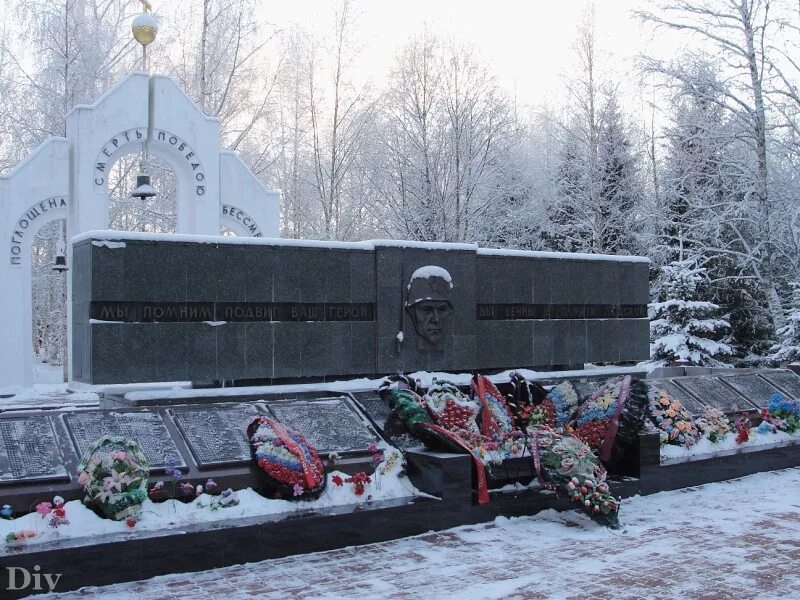 Новоселицы новгородская область. Новгородская область Новоселицы в ч 22558. Новоселицы Новгородская область воинская часть. Новоселицы мемориал. Мемориал д.Новоселицы Новгородской области.