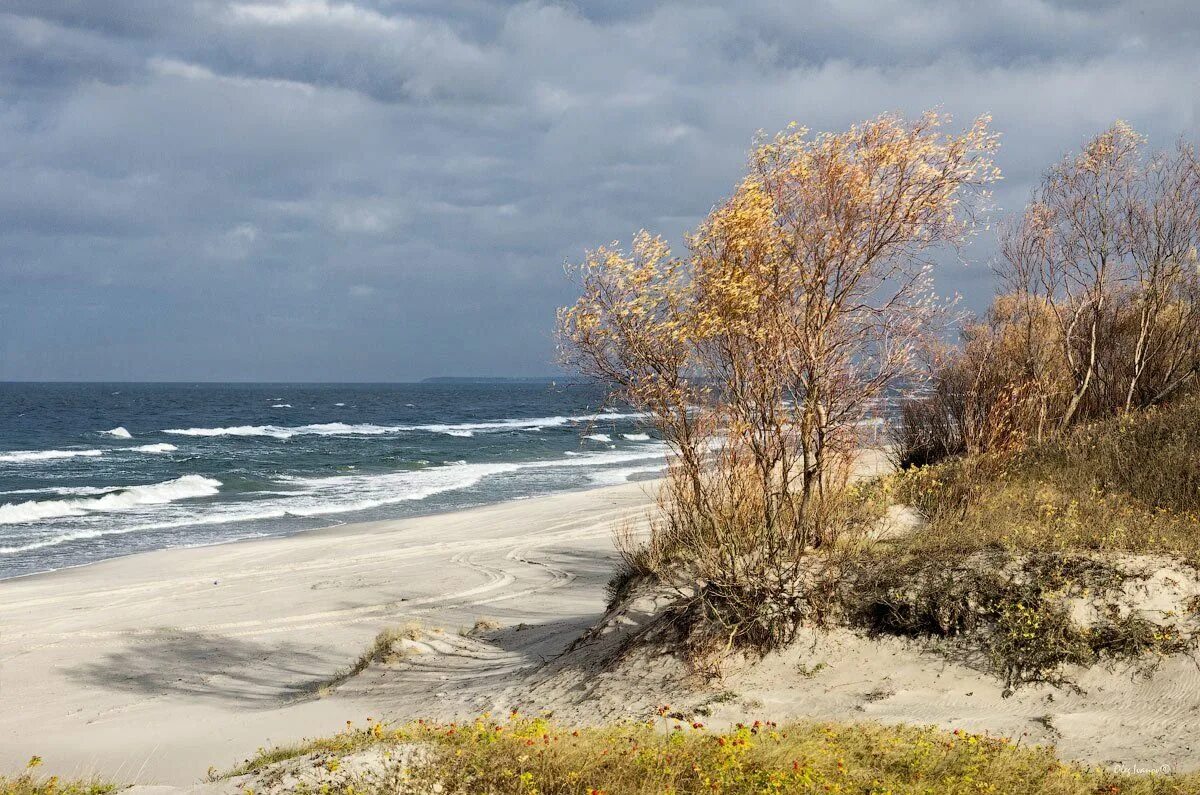 Осень на берегу моря. Балтийское море светлогорск. калининград балтийское море куршская коса. калининград - янтарный - светлогорск - куршская коса. балтийское море зеленоградск осень.