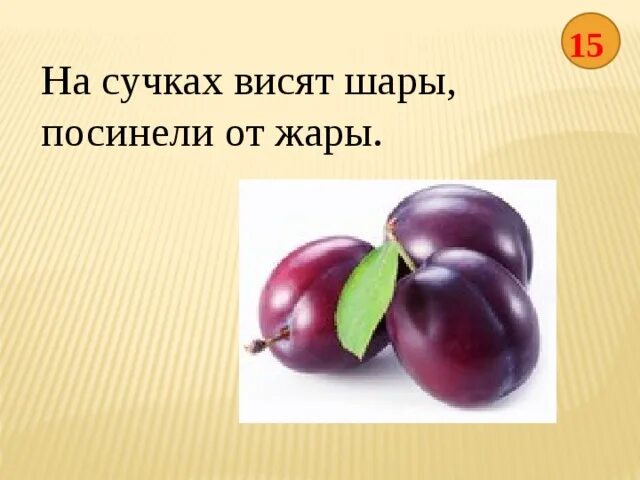 Висят шары посинели от жары. На ветвях висят шары посинели от жары. На ветках висят шары посинели от жары. Носочках висят шары посинели от жары. На крючках висят шары посинели от жары отгадка.