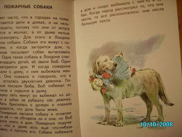 Читать произведение собака. Рассказа л Толстого пожарные собаки текст. Книга пожарные собаки толстой. Рассказ л Толстого пожарные собаки. Рассказ Льва Николаевича Толстого пожарные собаки.