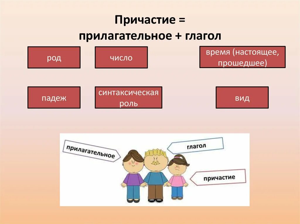 Причастие глагол и прилагательное. Синтаксическая роль причастия. Синтаксическая функция причастия. Синтаксическая роль причастия в предложении. Как определить падеж у причастия