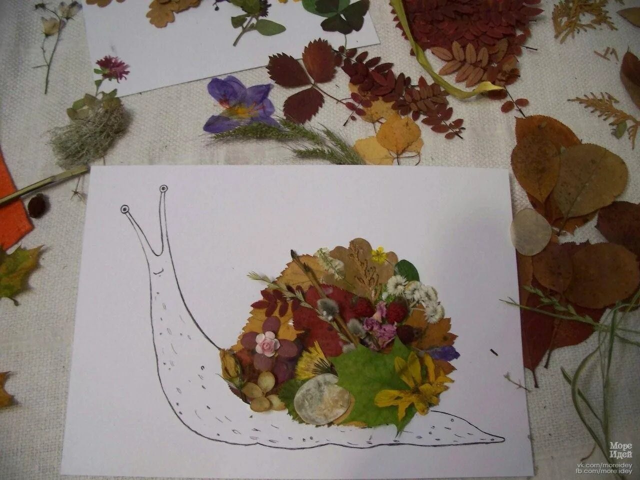 Составить гербарий из листьев. Мужчина из листьев гербария. Составить гербарий из листьев. Аппликация из природного материала. Гербарий из листочков.