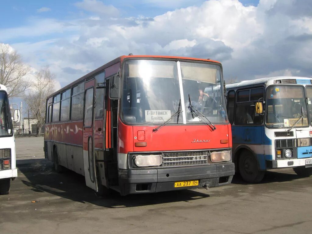 Город горно алтайск автобус. Икарус 256.54. Икарус Алтай. Ikarus 256.54. Икарус Бийск.