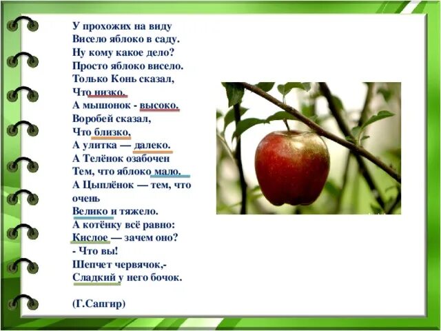 Текст про яблоко. Стих про яблоню. Стихотворение про яблоко. Стихотворение со словом яблоко. Стихотворение о яблоне в саду.