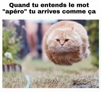 Quand tu