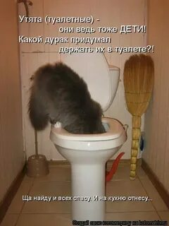 Ну что сидишь ну сиди сиди