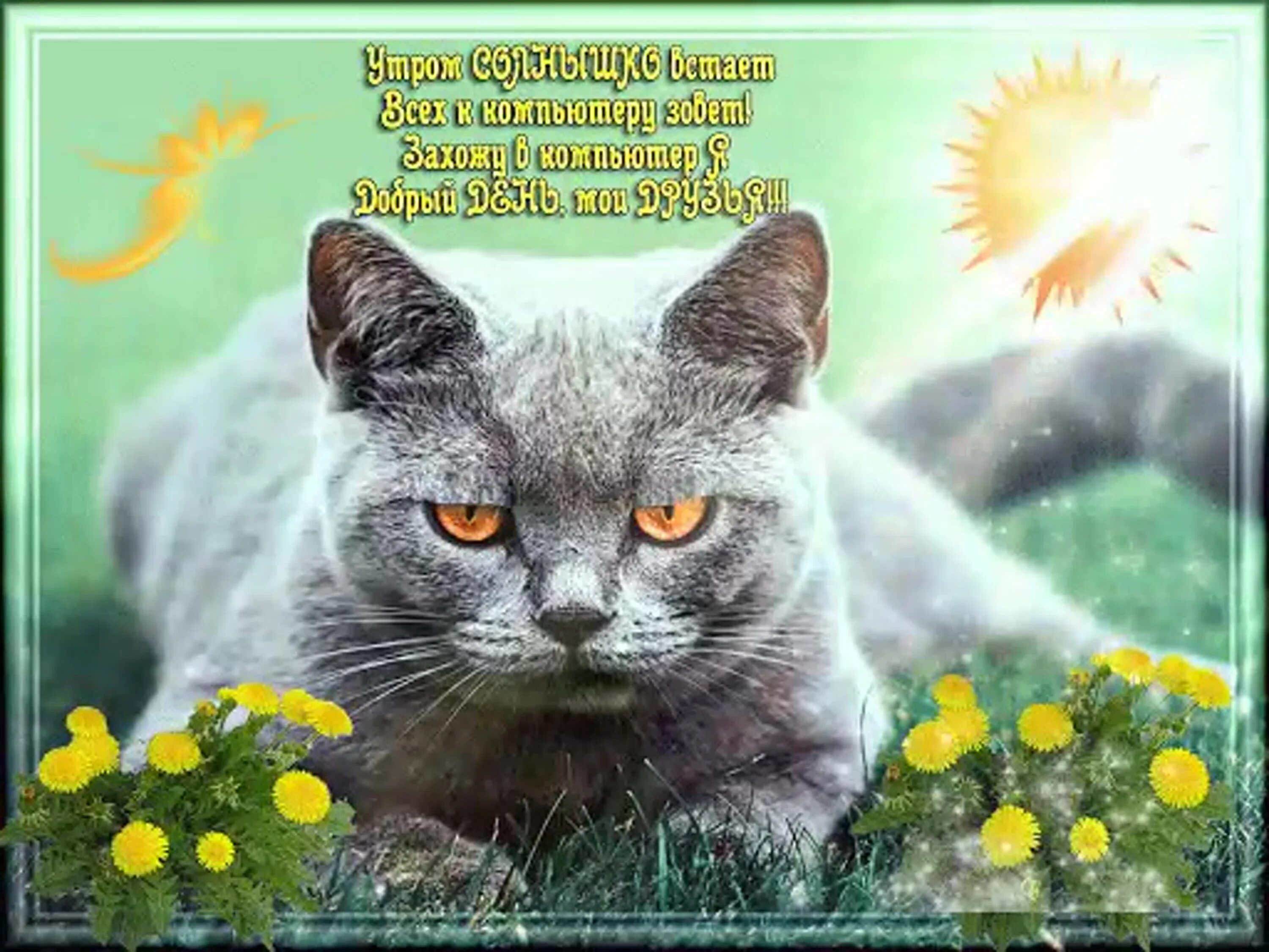 Котик с пожеланием хорошего. Пожелание хорошего дня с котиками. пожелание с добрым утром с кошечками. открытки с котиками хорошего дня. с добрым утром котики.