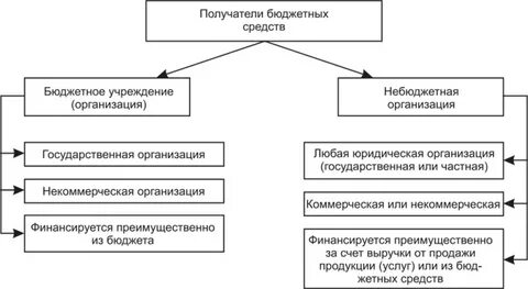Участники бюджетного учреждения