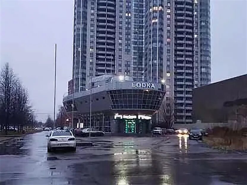 Проспект просвещения аренда. Просвещения 49.