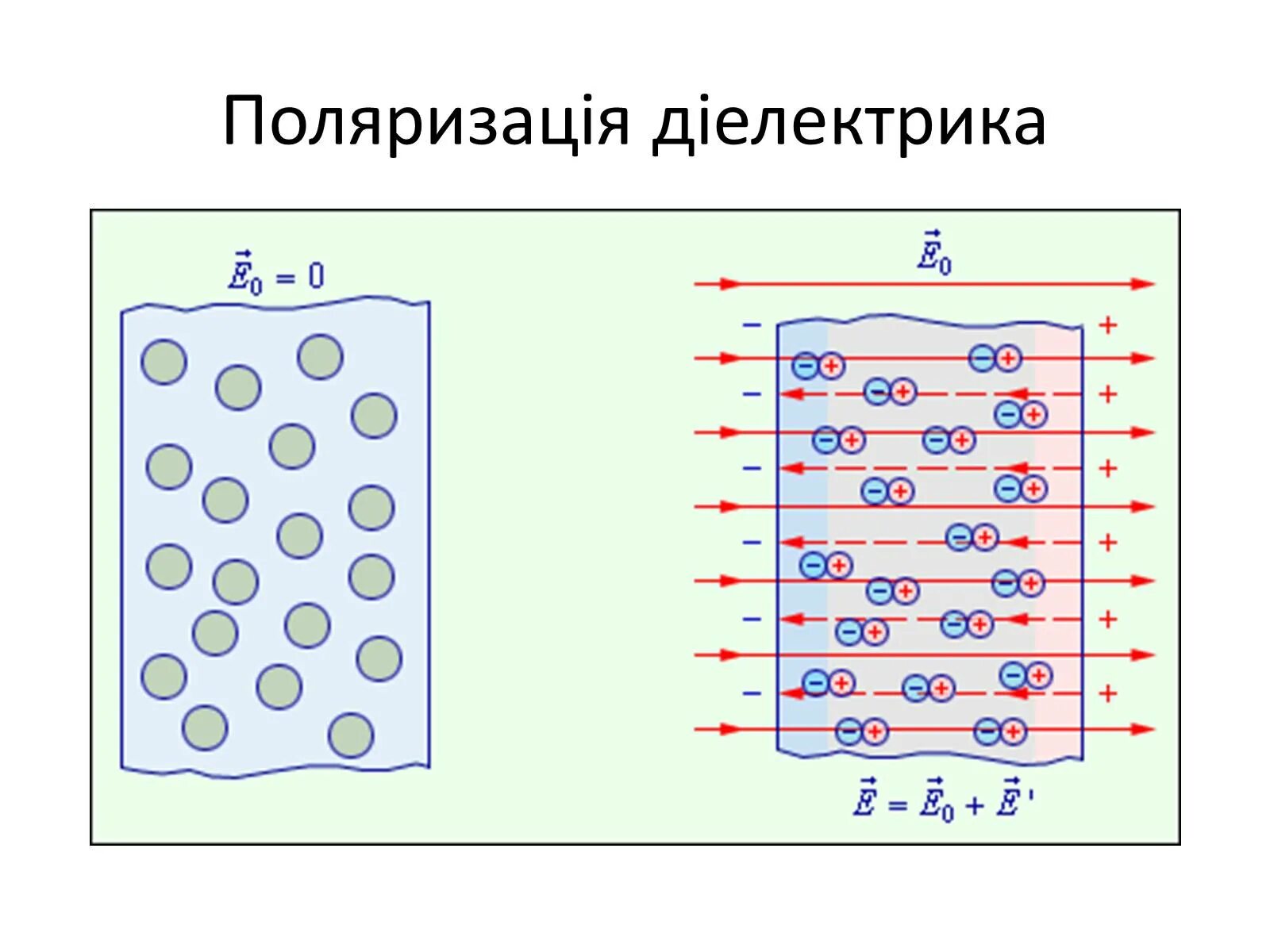 Электрическая поляризация это. Процесс поляризации неполярных диэлектриков. Проводники и диэлектрики в электрическом поле. Полярные диэлектрики и неполярные диэлектрики. Неполярный диэлектрик в электростатическом поле.