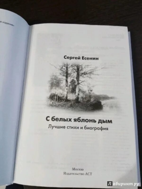 Есенин как белых яблонь дым. Есенин с белых яблонь дым. Есенин яблонь дым. Всё пройдёт как с белых яблонь. Всё пройдет, как с белых яблонь дым.