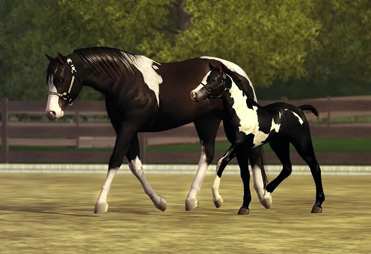 Horse sim. Симс 3 питомцы лошади. SIMS 3 лошади. Симс 3 Дикие лошади. The SIMS 3 питомцы Андалузская лошадь.