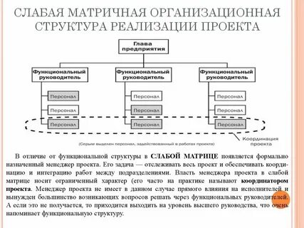 Функциональные характеристики проекта