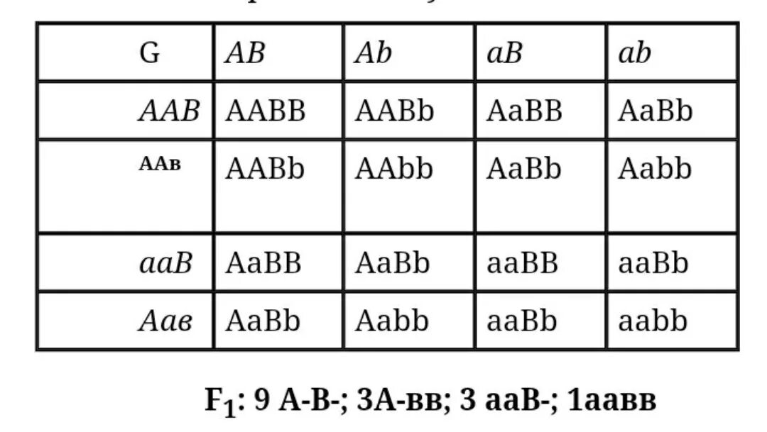 Aabb aabb соотношение генотипов. AABB AABB. AABB AABB скрещивание. Таблица AABB AABB. AABB X AABB скрещивание.