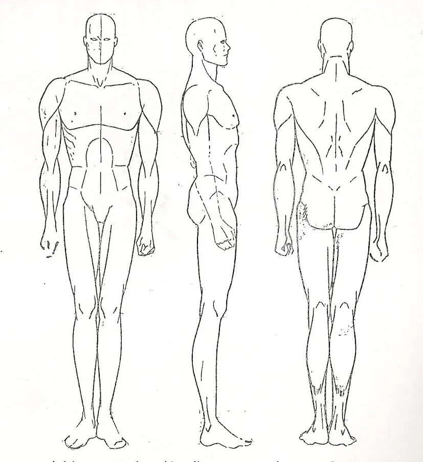 Схема человека. Мужская фигура для рисования. Эскиз человека. Мужская фигура для эскизов. Набросок мужского тела.