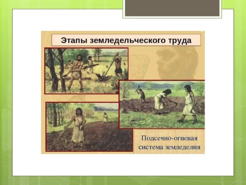 Земледелие минирование как работает. Подсечно-огневое земледелие картины. этапы подсечно огневого земледелия. подсечное земледелие в древней руси. земледелие древних славян подсечно огневой системы и.