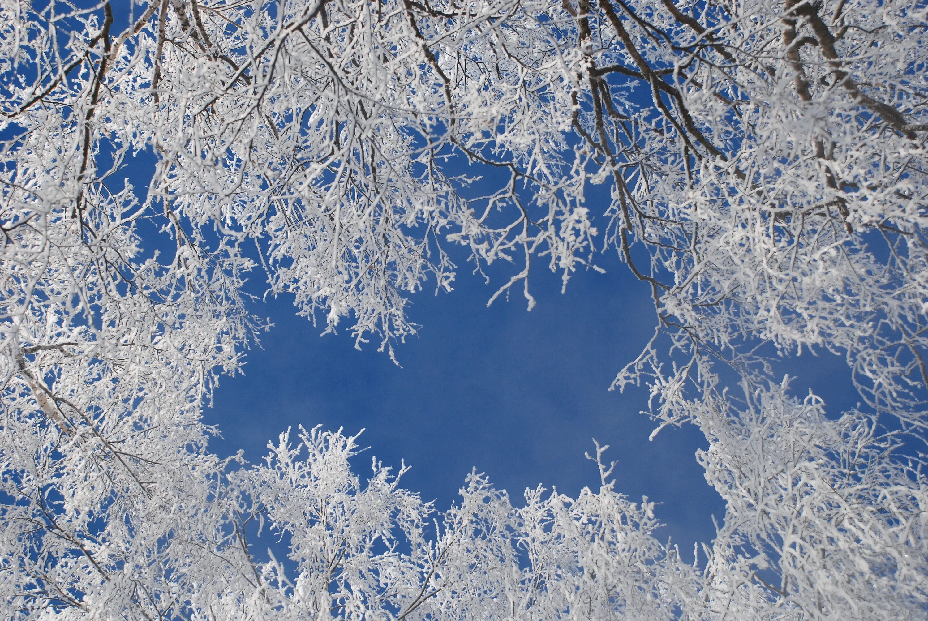 Дыхание зимы. Небо морозной зимой. Фон морозные деньки зима. Синева Снежная.