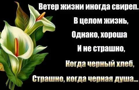 Однако хорошо живем