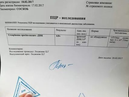 Пцр тест результаты анализа