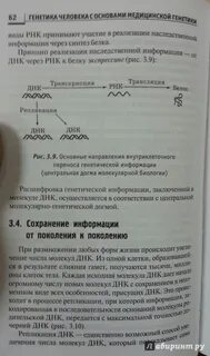 Генетика ответы