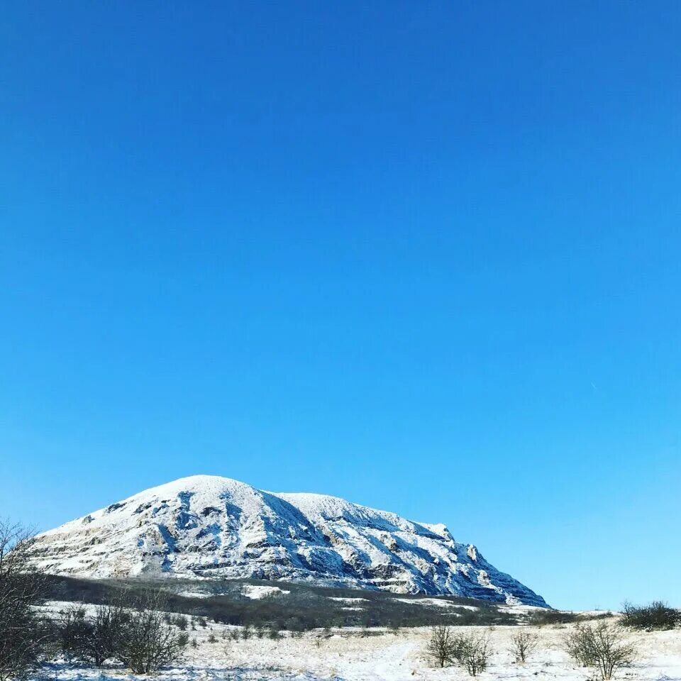 Змейка пятигорск