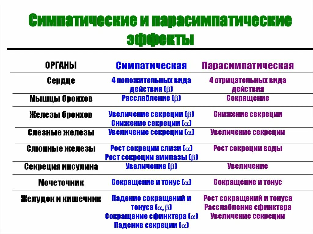 Нервный отдел и функции парасимпатической. Функции парасимпатической вегетативной нервной системы. Парасимпатическая система и симпатическая система. Симпатический отдел ВНС физиология. Вегетативная нервная система физиология.