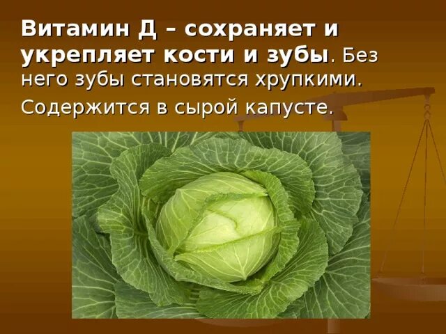 Какого витамина больше всего в капусте. Витамины в капусте белокочанной. Витамины содержащиеся в белокочанной капусте. Капуста кочанная витамины. Витамины в капусте бело- качаной.