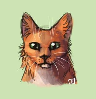 Тая кот