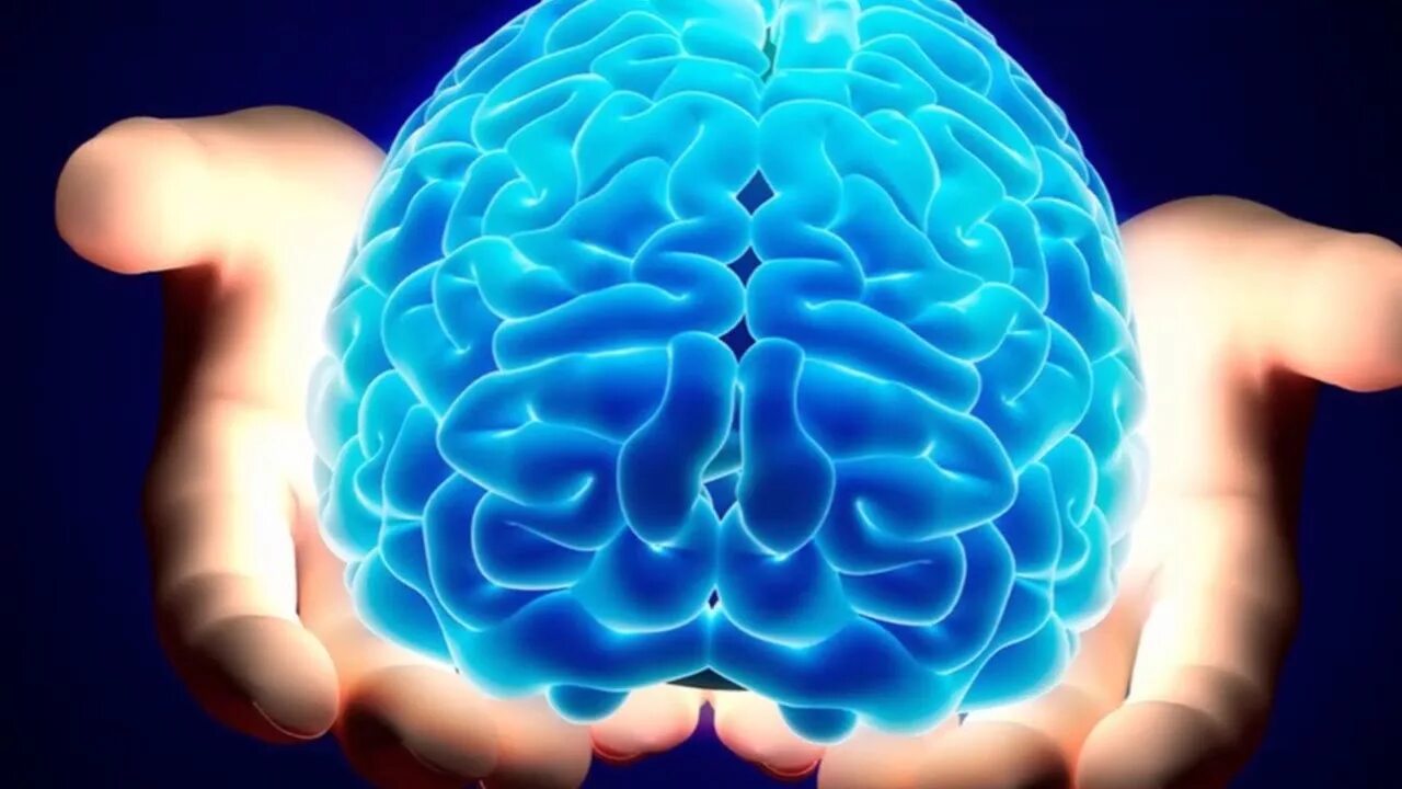 Amazing brain