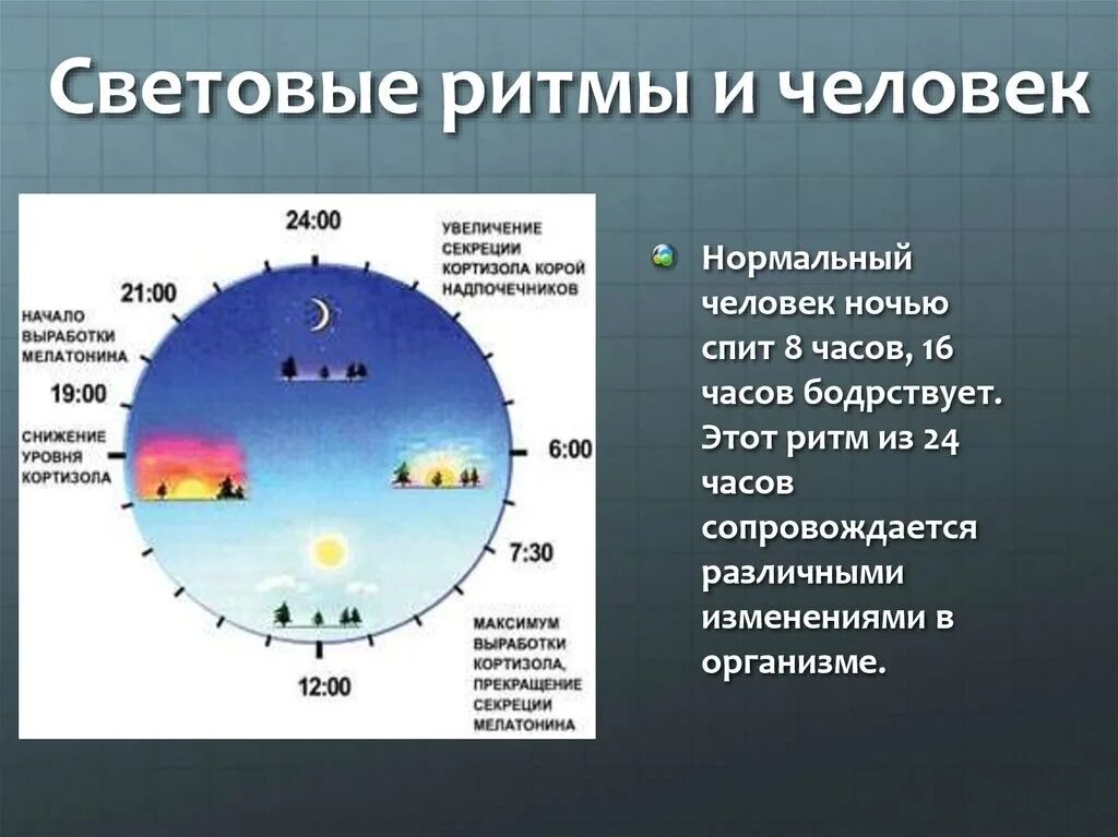 Реакция организма на изменение длины светового дня
