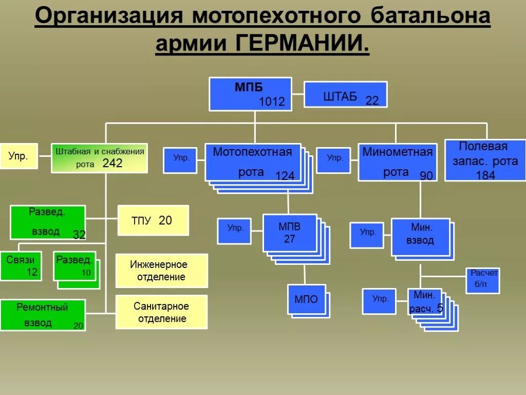 Предназначение роты. Организация и вооружение мотопехотного батальона армии ФРГ. Организационно-штатная структура мотопехотного батальона армии ФРГ. Организационно-штатная структура мотопехотного батальона ФРГ. Сухопутные войска армии Германии структура.