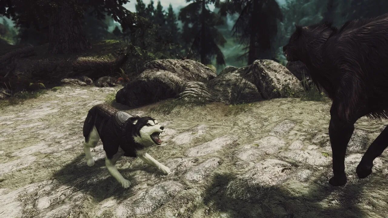 Animals skyrim. Skyrim хаски компаньон. Скайрим Спутник хаски. Скайрим мод на животных компаньонов.