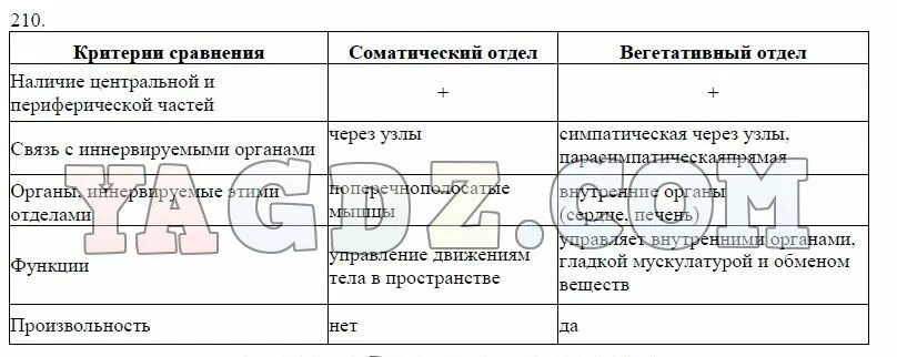 Концентрическая работа по биологии 8 класс. Критерии сравнения соматический отдел вегетативный отдел таблица. Таблица наличие центральной и периферической частей. Критерии наличие центральной и периферической частей. Соматический отдел наличие центральной и периферической частей.