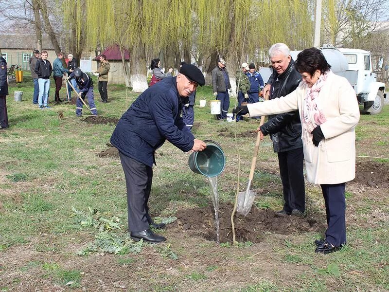Село годуново александровского района владимирской области. Александровский район ставропольский край. Новокавказский александровский район. Круглолесское ставропольский. Погода садовое александровский.