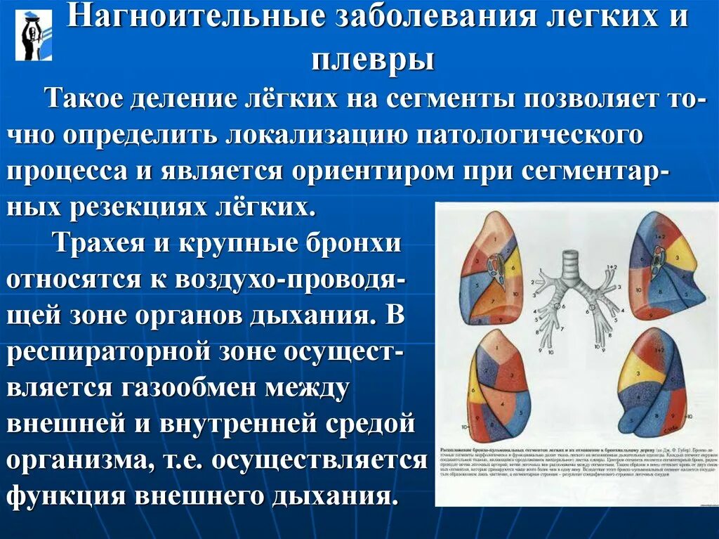 Поражение легких болезнь. Заболевание плевры легких. Легкие деление на сегменты. Сегмент легкого заболевания. Нагноительные заболевания легких.