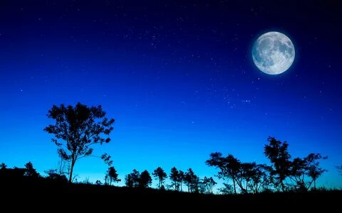 Half midnight