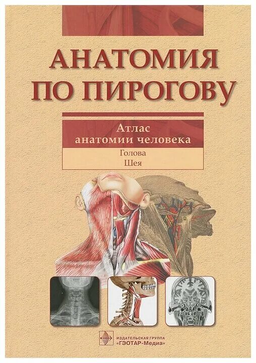 Автор атласа топографической анатомии иллюстрированная разрезами. Автор атласа топографической анатомии иллюстрированная разрезами. Автор атласа топографической анатомии иллюстрированная разрезами. Автор атласа топографической анатомии иллюстрированная разрезами. Шилкин анатомия по пирогову.