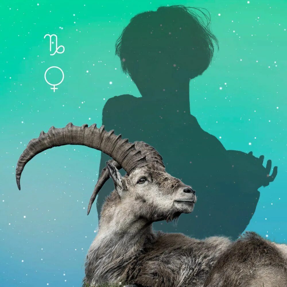 знаки зодиака. козерог характеристика знака. козерог характеристика. козерог знак зодиака мужчина. козерог женщина дата.