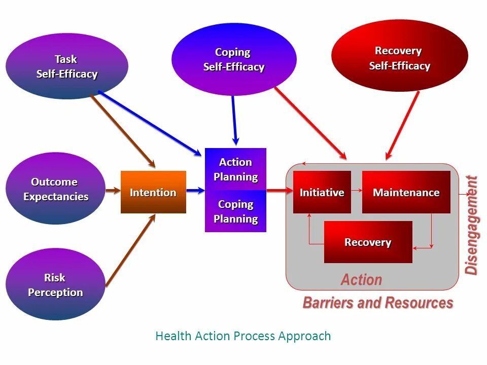 Action process. Self-efficacy Шварцер. Копинг и Возраст. Risk Perception.