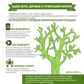 Куда вывезти ветки