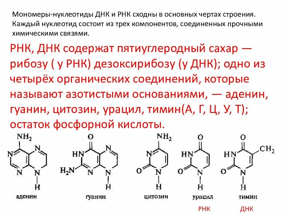 Химическая структура нуклеотидов входящих в состав ДНК И РНК. Нуклеотиды входящие в состав ДНК И РНК. Строение нуклеотида ДНК формула. Структурная формула нуклеотида ДНК.