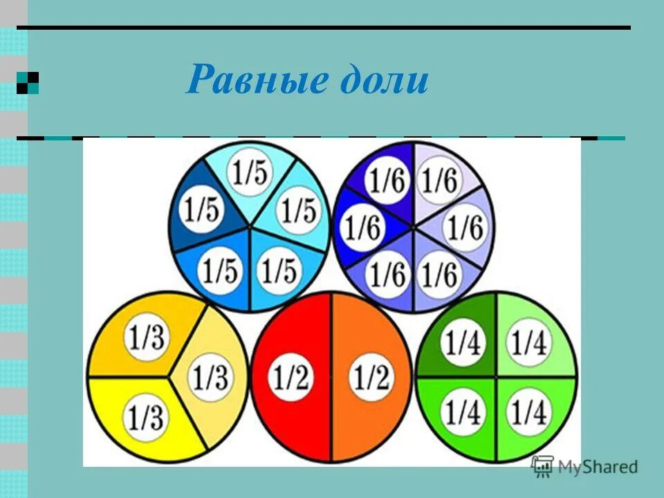равные доли. доли 5 класс. доли и дроби арбуз. доли и дроби. части доли.