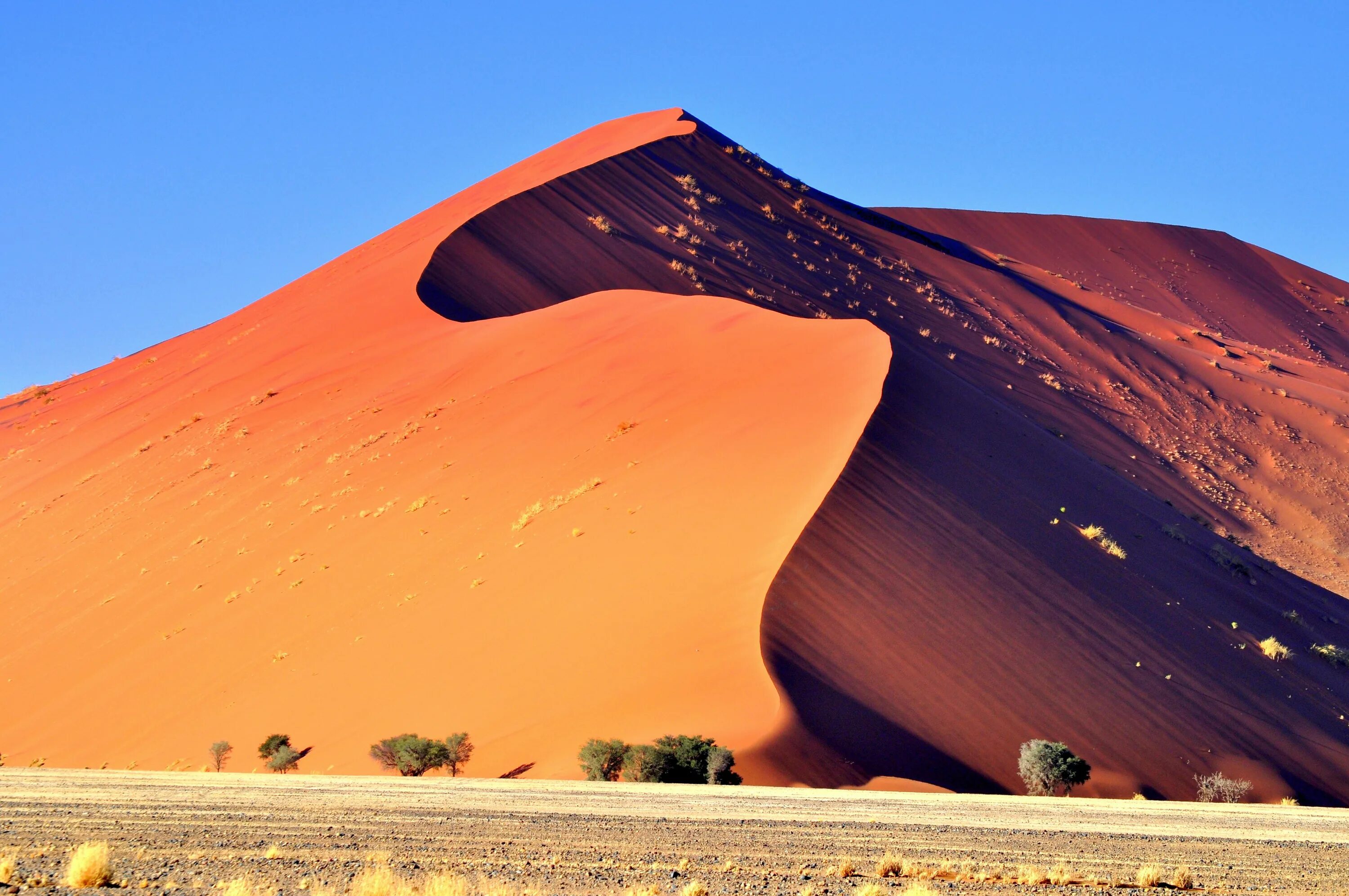 Пустыня Намиб дюны. Намибия пустыня Намиб. Дюны Соссусфлей. Соссусфлей красные дюны Намибии. Африканская столица 7